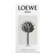 Loewe Solo Cedro woda toaletowa