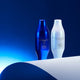 Shiseido Bio-Performance Skin Filler Serum wypełniające serum na dzień i na noc 2x30ml