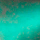 Rouge Bunny Rouge Feline Gaze Eye Khol kredka do oczu kocie spojrzenie