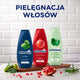 Schauma 7 Herbs Freshness szampon do włosów przetłuszczających się i normalnych 400ml