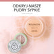 Bourjois Loose Powder puder sypki