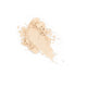 Quiz Cosmetics Matte Translucent Powder transparentny puder matujący