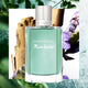 Davidoff Run Wild For Men woda toaletowa spray