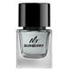 Burberry Mr. Burberry woda toaletowa spray