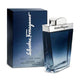 Salvatore Ferragamo Subtil Pour Homme woda toaletowa spray
