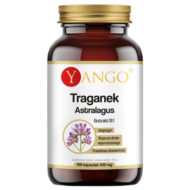 Yango Traganek ekstrakt 10:1 suplement diety 100 kapsułek