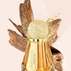 Jimmy Choo I Want Oud woda perfumowana
