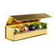 SunewMed+ Lip Balm Set zestaw balsamów do ust 4x13g