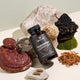 Solve Labs Mushroom Complex suplement diety 60 kapsułek