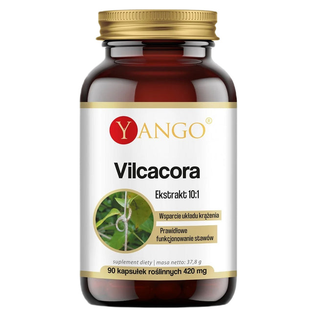 Yango Vilcacora ekstrakt 10:1 suplement diety 90 kapsułek