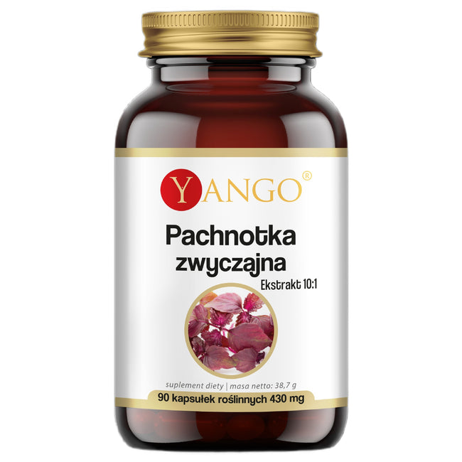 Yango Pachnotka zwyczajna ekstrakt 10:1 suplement diety 90 kapsułek