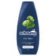 Schauma For Men szampon do włosów dla mężczyzn do codziennego stosowania 400ml