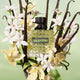 Valentino Donna Born in Roma Green Stravaganza woda perfumowana spray