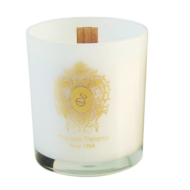 Tiziana Terenzi Spicy Snow świeca zapachowa 170g