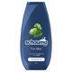 Schauma For Men szampon do włosów dla mężczyzn do codziennego stosowania 250ml
