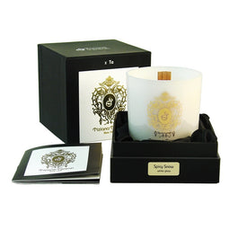 Tiziana Terenzi Spicy Snow świeca zapachowa 170g
