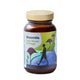 HealthLabs ShroomMe Lion’s Mane & Chaga suplement diety dla mężczyzn 45.5g