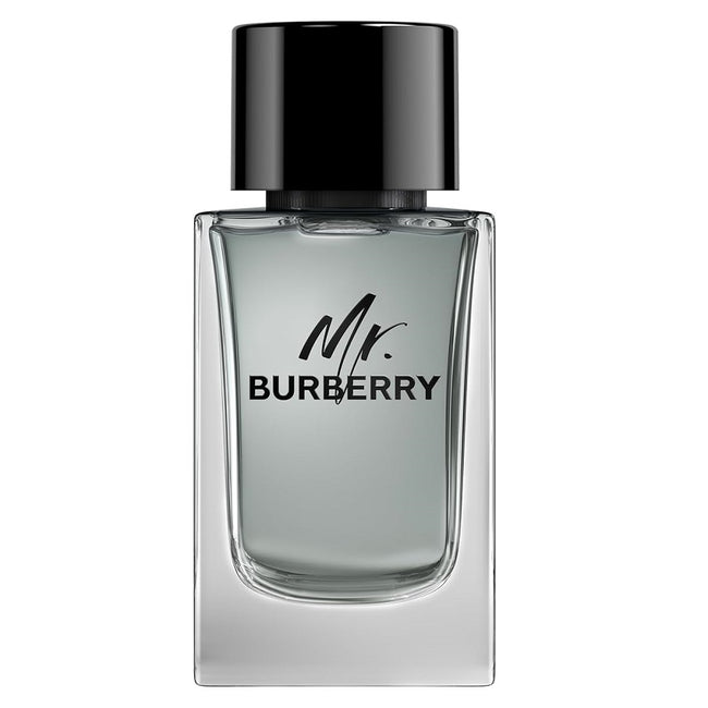 Burberry Mr. Burberry woda toaletowa spray