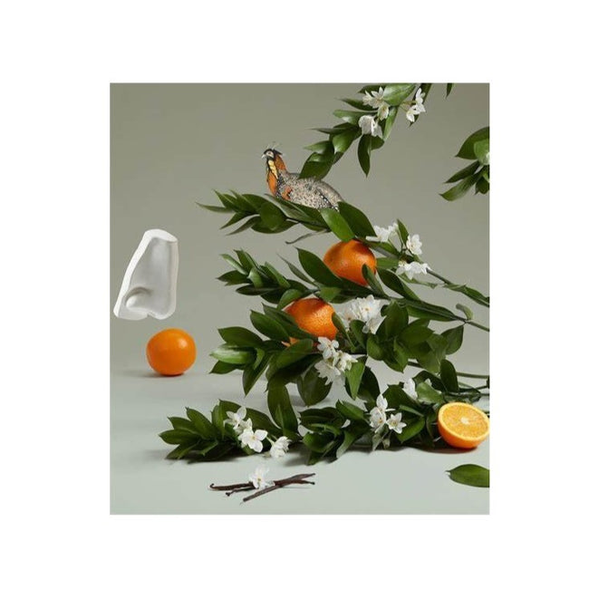 Penhaligon's Orange Blossom woda toaletowa