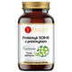 Yango Probiotyk SCB-10 z prebiotykiem suplement diety 90 kapsułek
