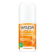 Weleda Dezodorant w kulce 24h z rokitnikiem 50ml