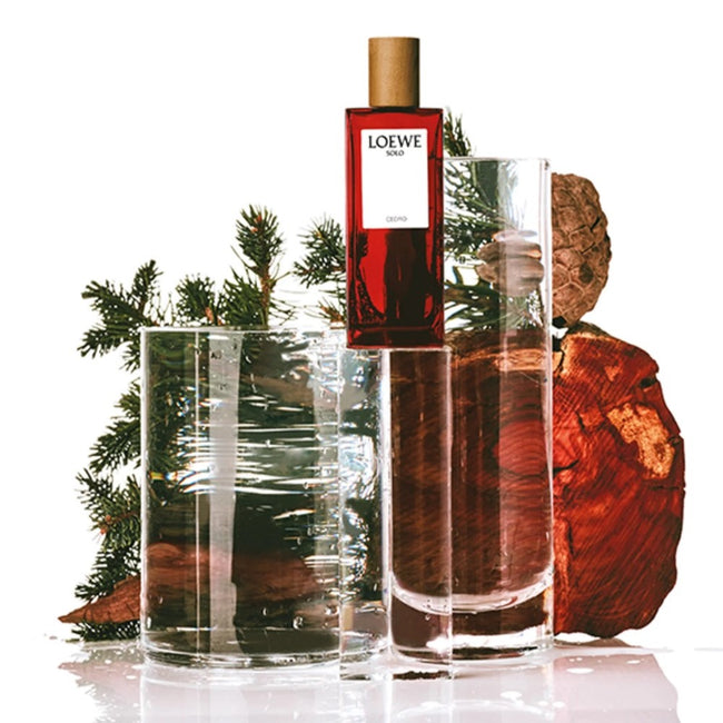 Loewe Solo Cedro woda toaletowa