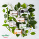 Equilibra Aloe 100% Vegetal Soap aloesowe mydło 100g
